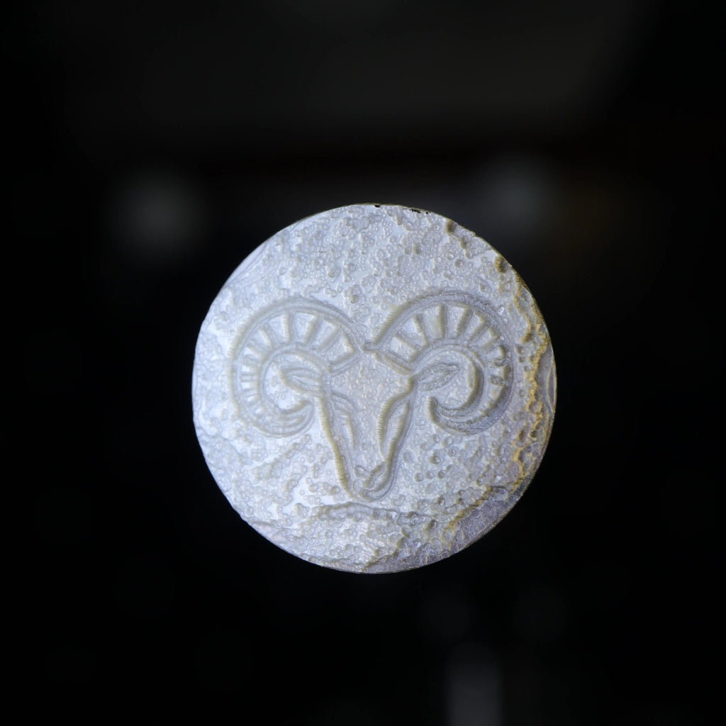 Zodiac Shell Carving Disc — Archaeological Style Series