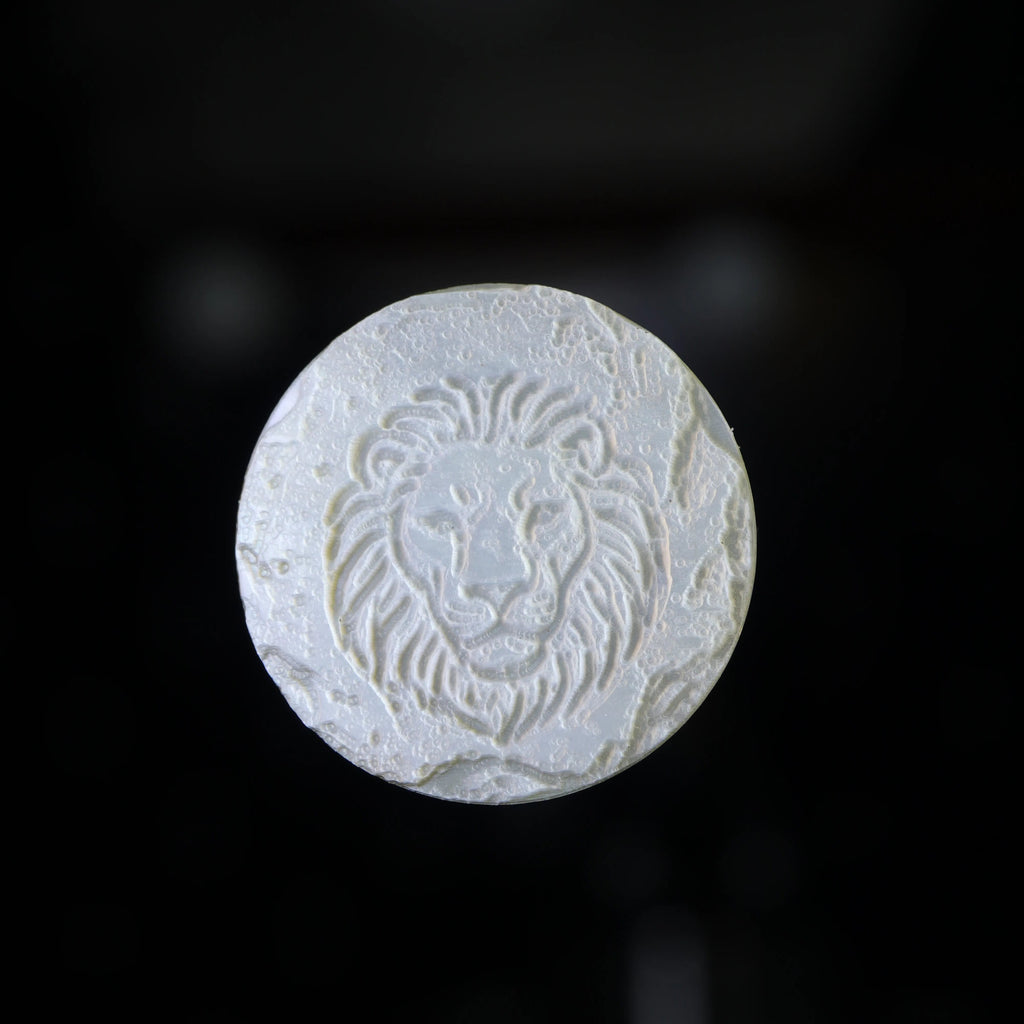 Zodiac Shell Carving Disc — Archaeological Style Series