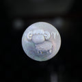 Zodiac Shell Carving Disc