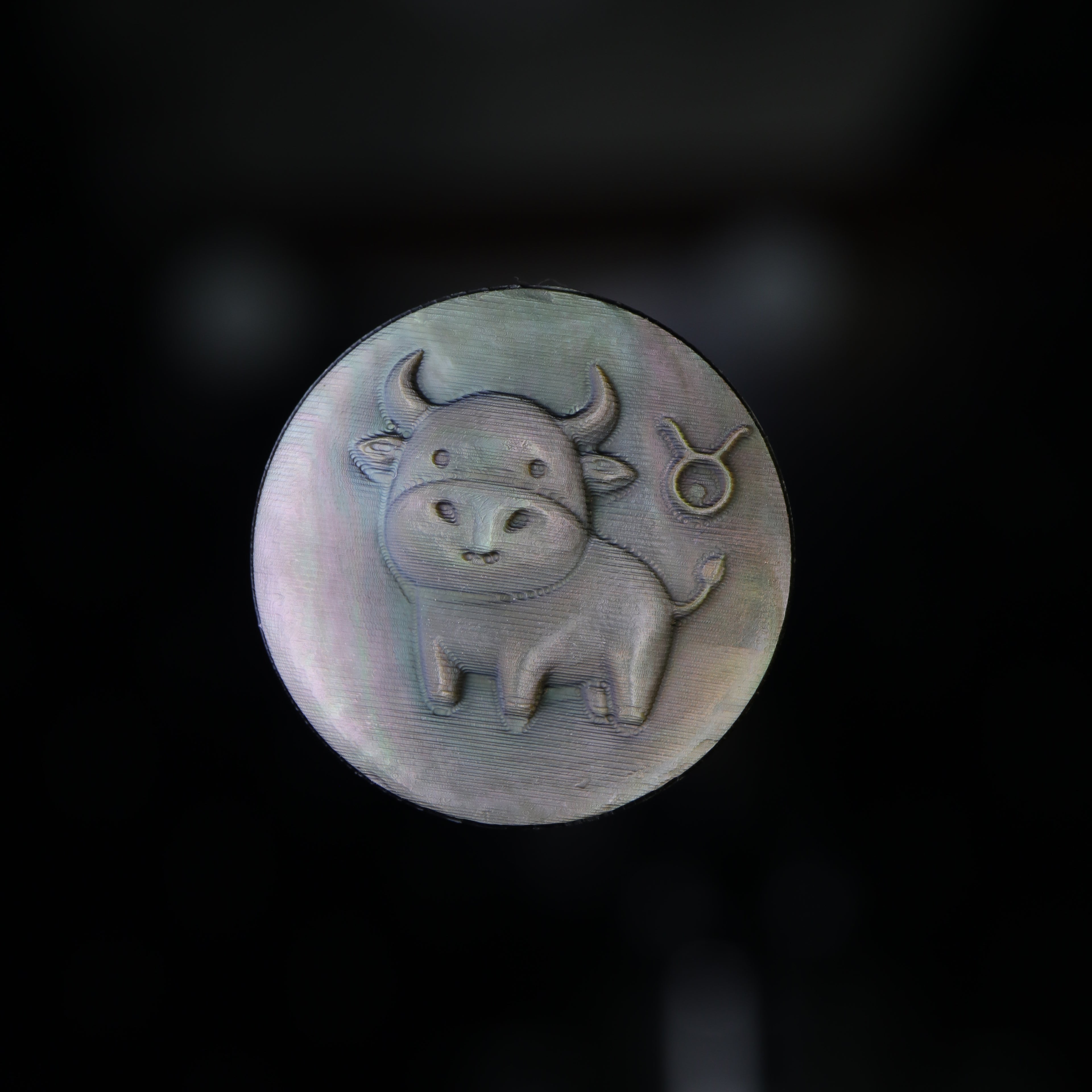 Zodiac Shell Carving Disc